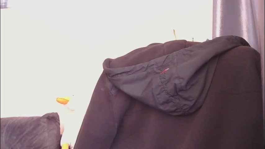 medjik_lool Adult Chat March 13, 2026