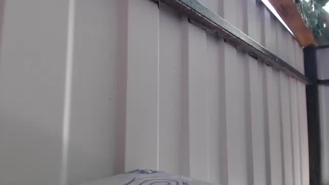 _hidden_frommymoom_ Adult Chat March 14, 2026