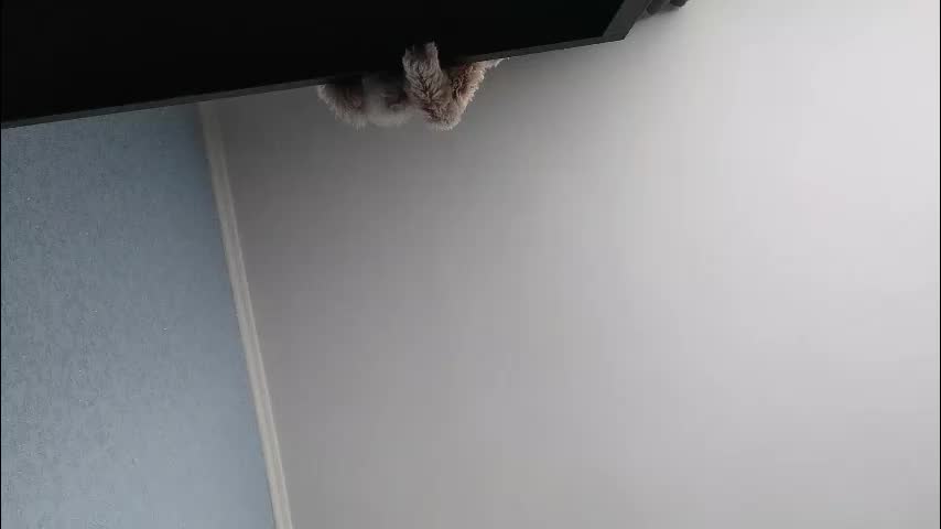 edithmanning Adult Chat March 14, 2026