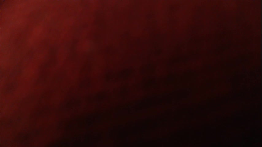 stonenipple Adult Chat March 13, 2026