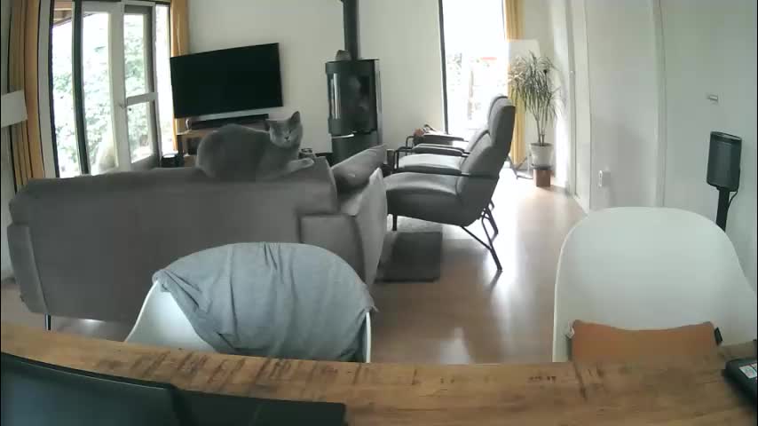 woodwurm Adult Chat March 13, 2026