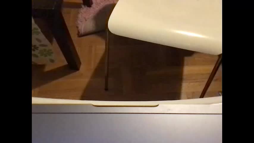 redfoxofficial Adult Chat March 14, 2026