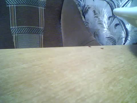 Luminara Adult Chat March 14, 2026