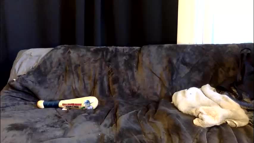 kittysub6969 Adult Chat March 14, 2026