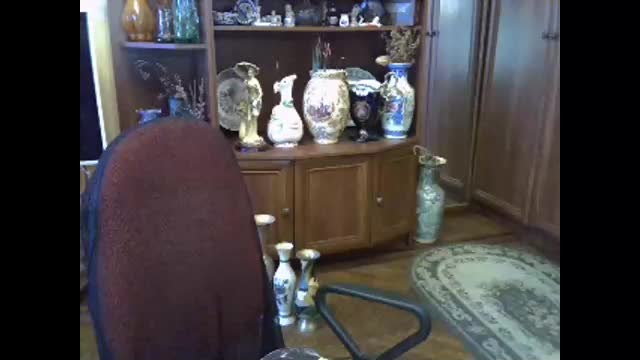 elenazed Adult Chat March 14, 2026