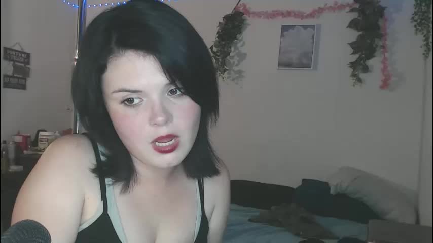 venusastar Adult Chat March 14, 2026