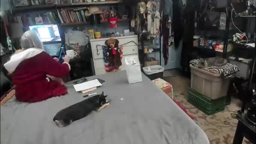 pink_black Adult Chat March 14, 2026