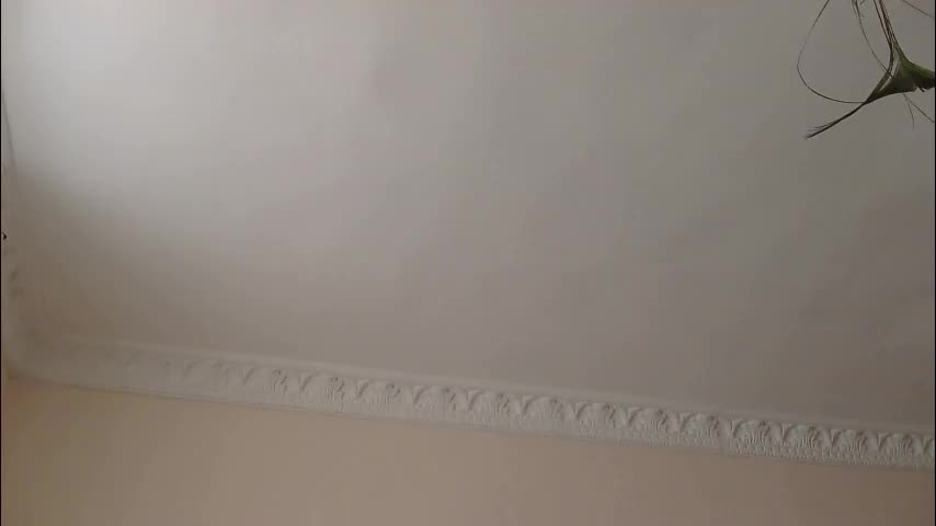 sun_sparkle Adult Chat March 14, 2026