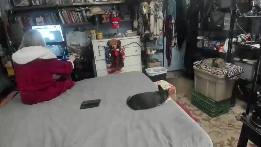 pink_black Adult Chat March 14, 2026