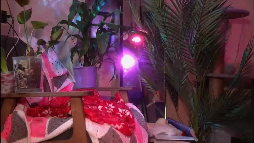 arianna_richi Adult Chat March 14, 2026