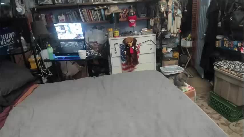 pink_black Adult Chat March 14, 2026