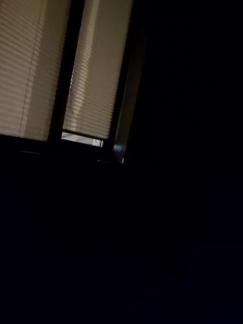 Franc_666 Adult Chat March 15, 2026