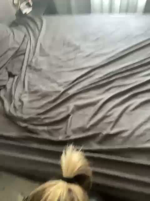 Perverse-family Adult Chat March 14, 2026