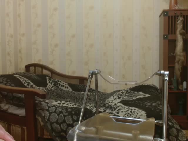 Valenttijm3851 Adult Chat March 15, 2026