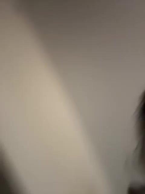 NotBellucci Adult Chat March 15, 2026