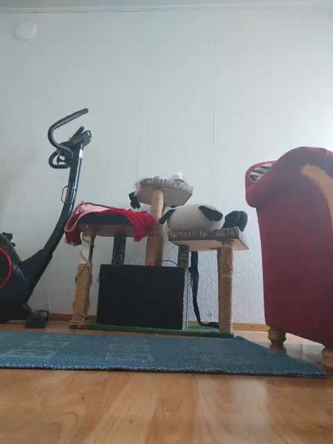 MySky23 Adult Chat March 15, 2026