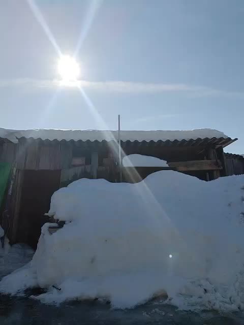 Tanysha-1 Adult Chat March 15, 2026