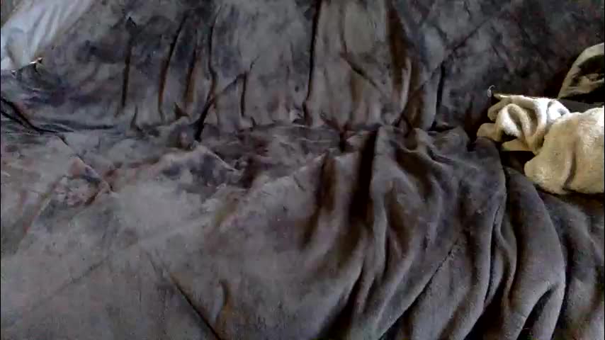 kittysub6969 Adult Chat March 16, 2026