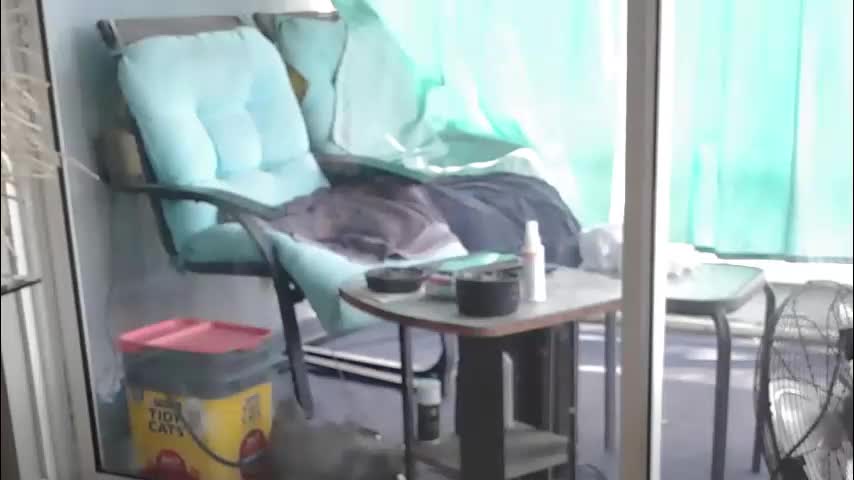 smallpenisbigtongue Adult Chat March 16, 2026