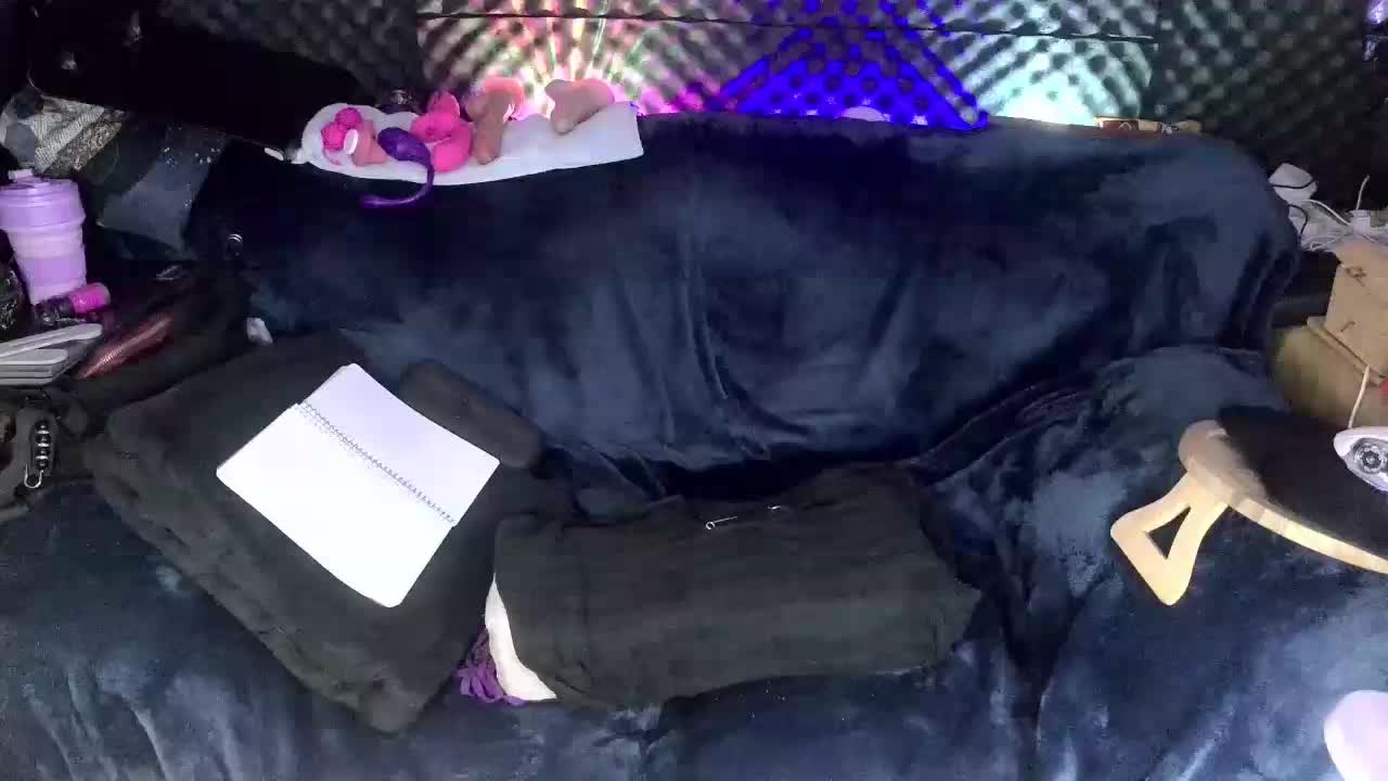 Fantasyca Adult Chat March 16, 2026