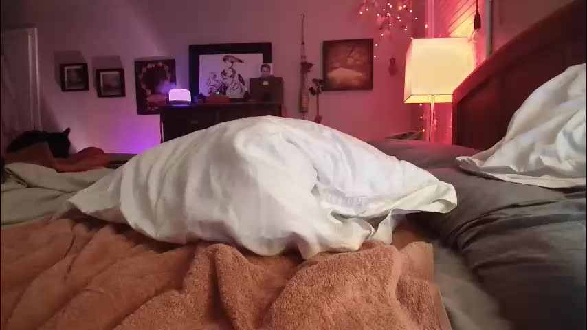 catnips_cabaret Adult Chat March 16, 2026