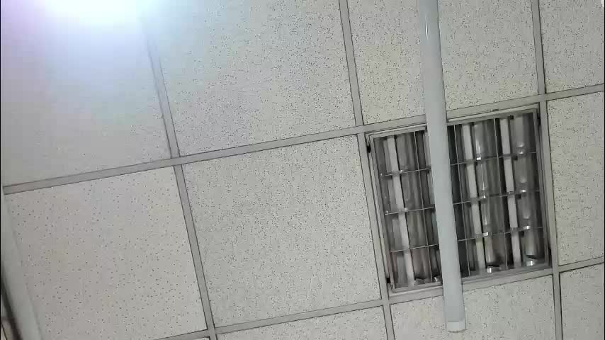 zayrastorm Adult Chat March 16, 2026