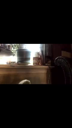 livmirage Adult Chat March 16, 2026