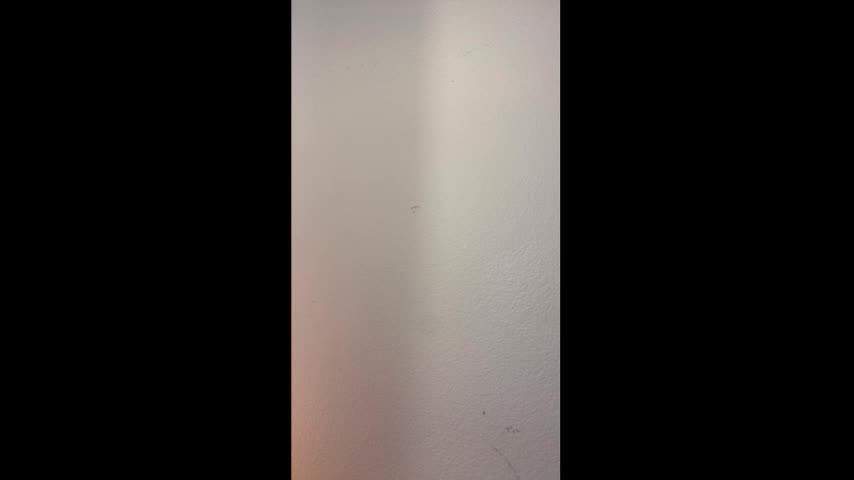 drippykitty888 Adult Chat March 16, 2026