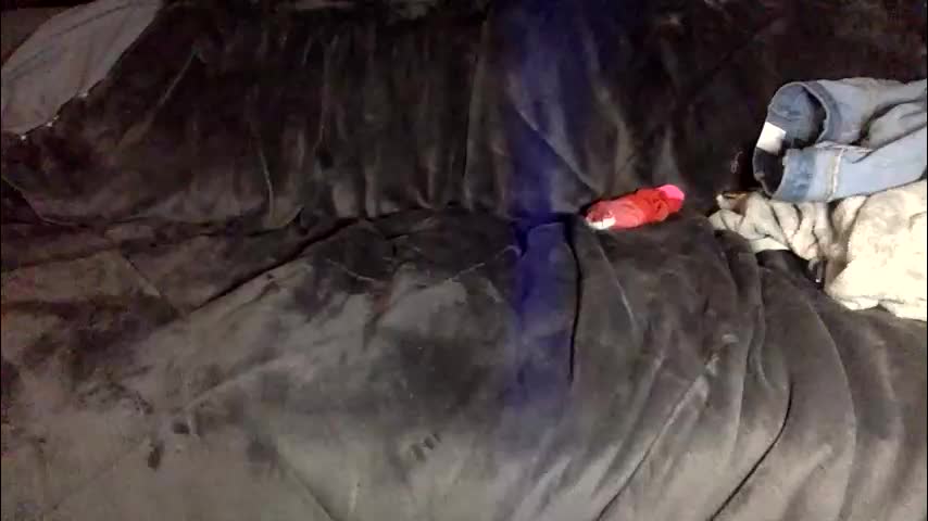 kittysub6969 Adult Chat March 16, 2026