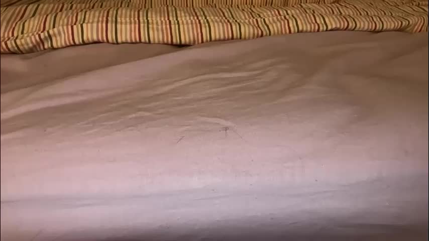 marsandvene1a Adult Chat March 16, 2026