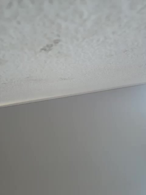 NotBellucci Adult Chat March 16, 2026