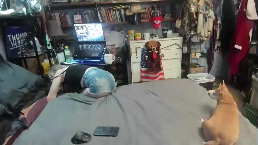 pink_black Adult Chat March 17, 2026