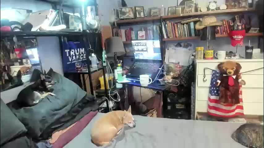 pink_black Adult Chat March 17, 2026