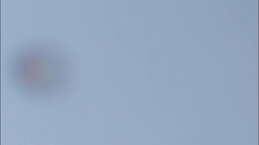 miamontoya Adult Chat March 17, 2026