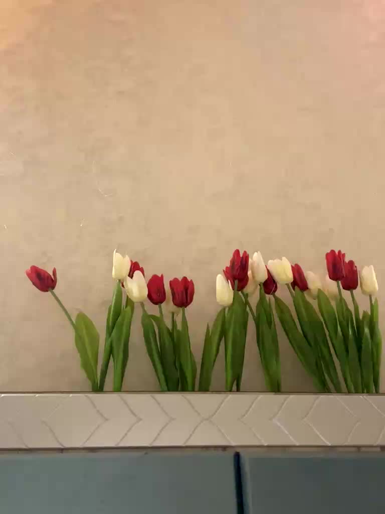 KissMec Adult Chat March 17, 2026