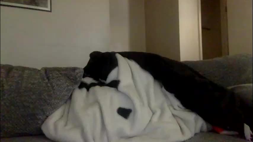 milfsfreaky69 Adult Chat March 18, 2026