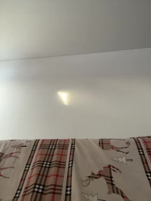 NotBellucci Adult Chat March 17, 2026