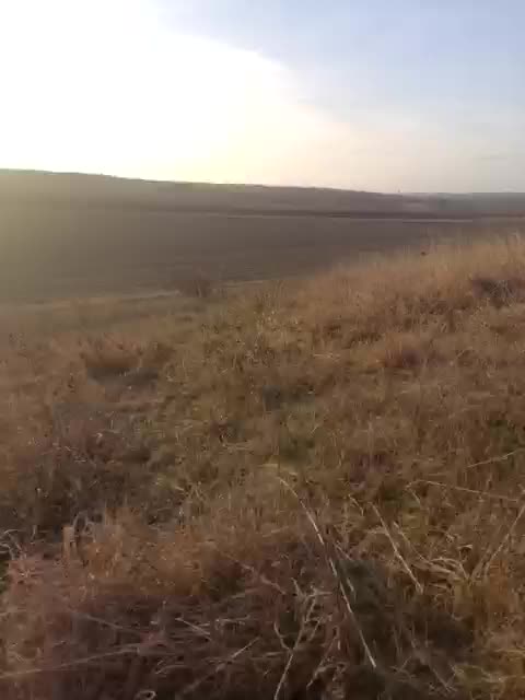 Marta24a Adult Chat March 18, 2026