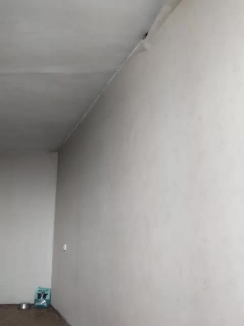 TPAX-B-KucKy Adult Chat March 18, 2026