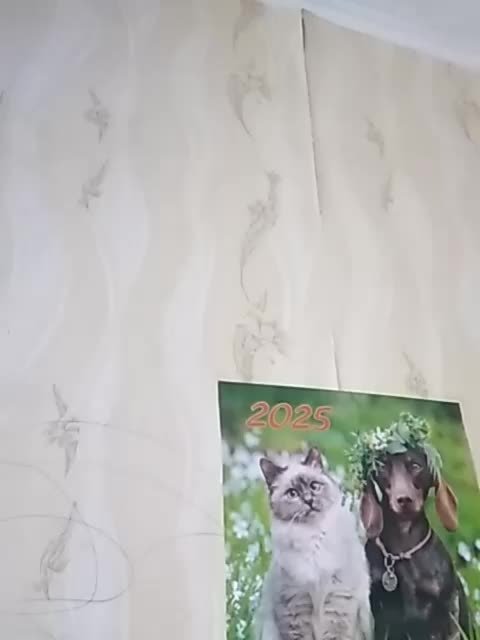 TatKotik Adult Chat March 18, 2026