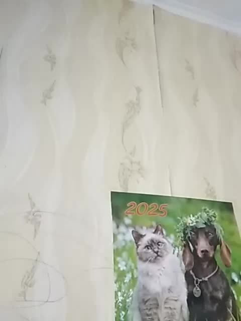 TatKotik Adult Chat March 18, 2026