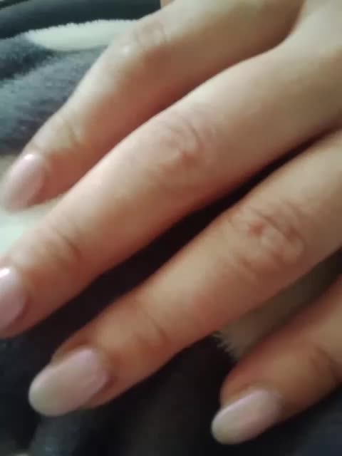 VelvetAngels Adult Chat March 18, 2026