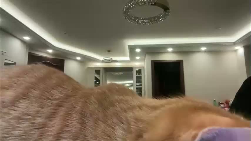 therealcamilabaddie Adult Chat March 19, 2026