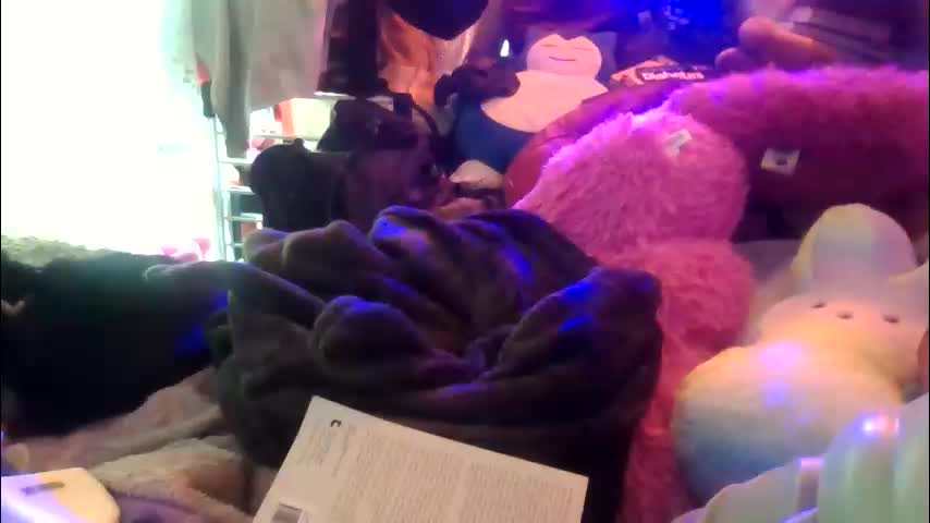 siofra Adult Chat March 19, 2026