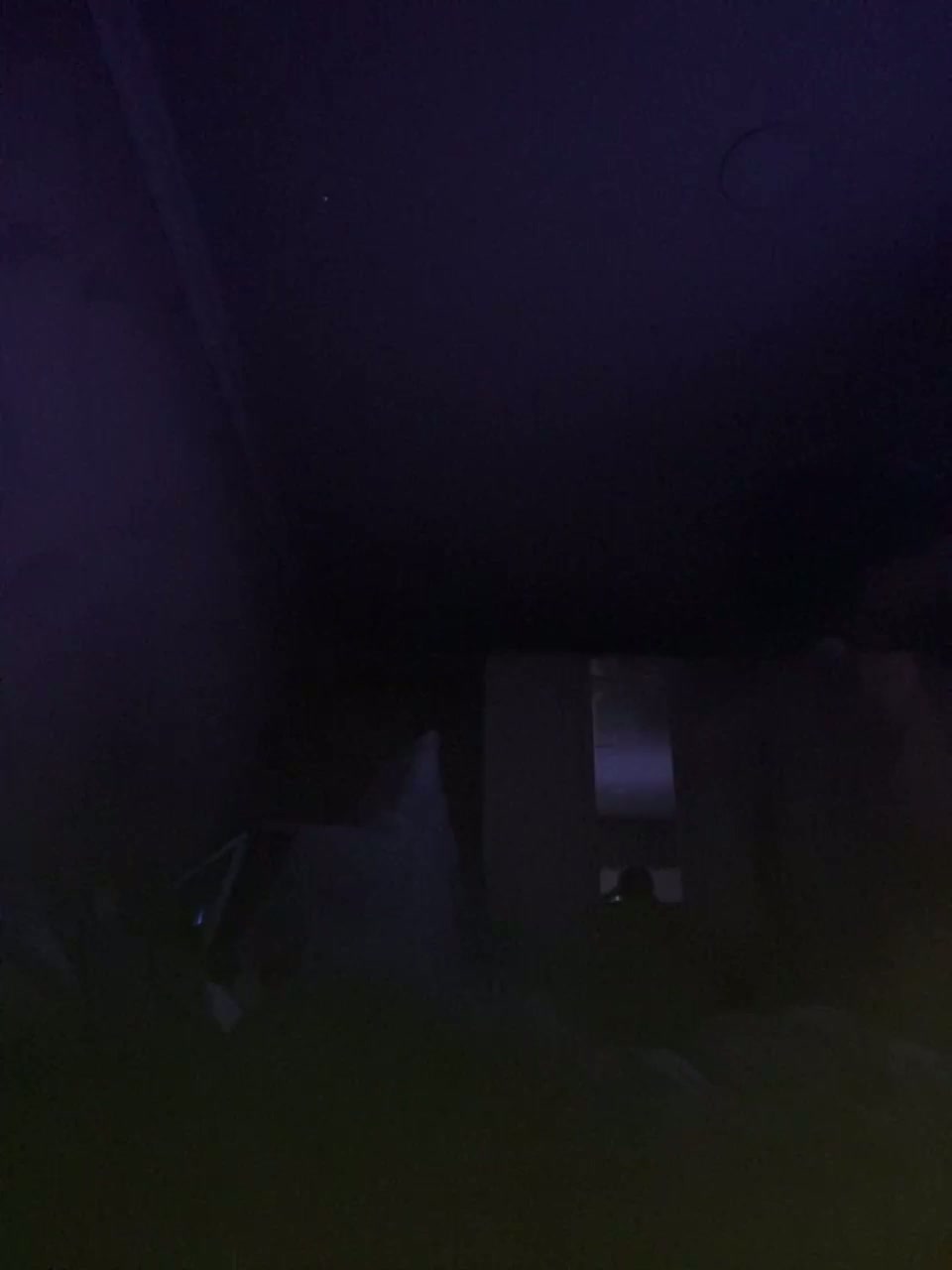 Kot-i-Koshkaa Adult Chat March 19, 2026