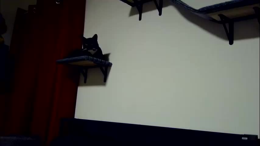 missmonatoyou Adult Chat March 19, 2026