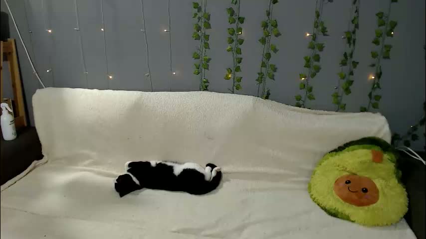 leo_and_lori Adult Chat March 19, 2026