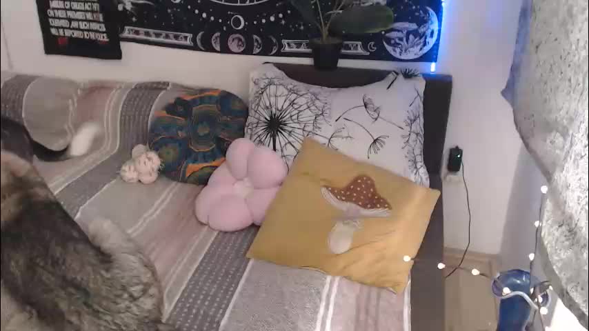 aliens4twenty Adult Chat March 19, 2026