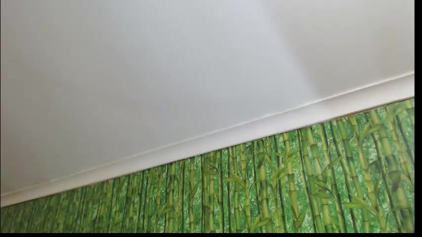 sashawhynot Adult Chat March 20, 2026