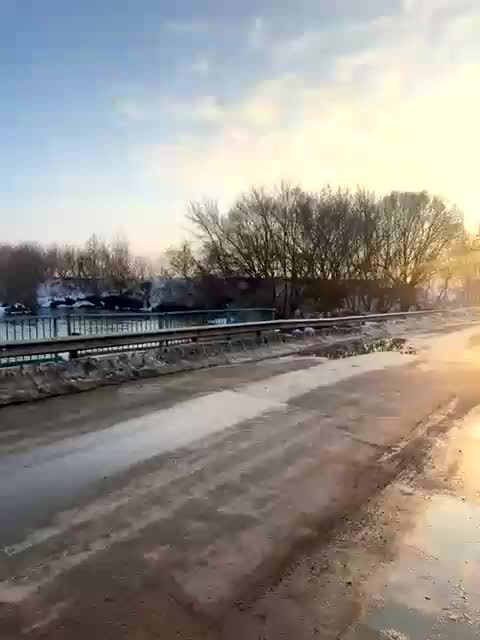 -Darinaa- Adult Chat March 20, 2026